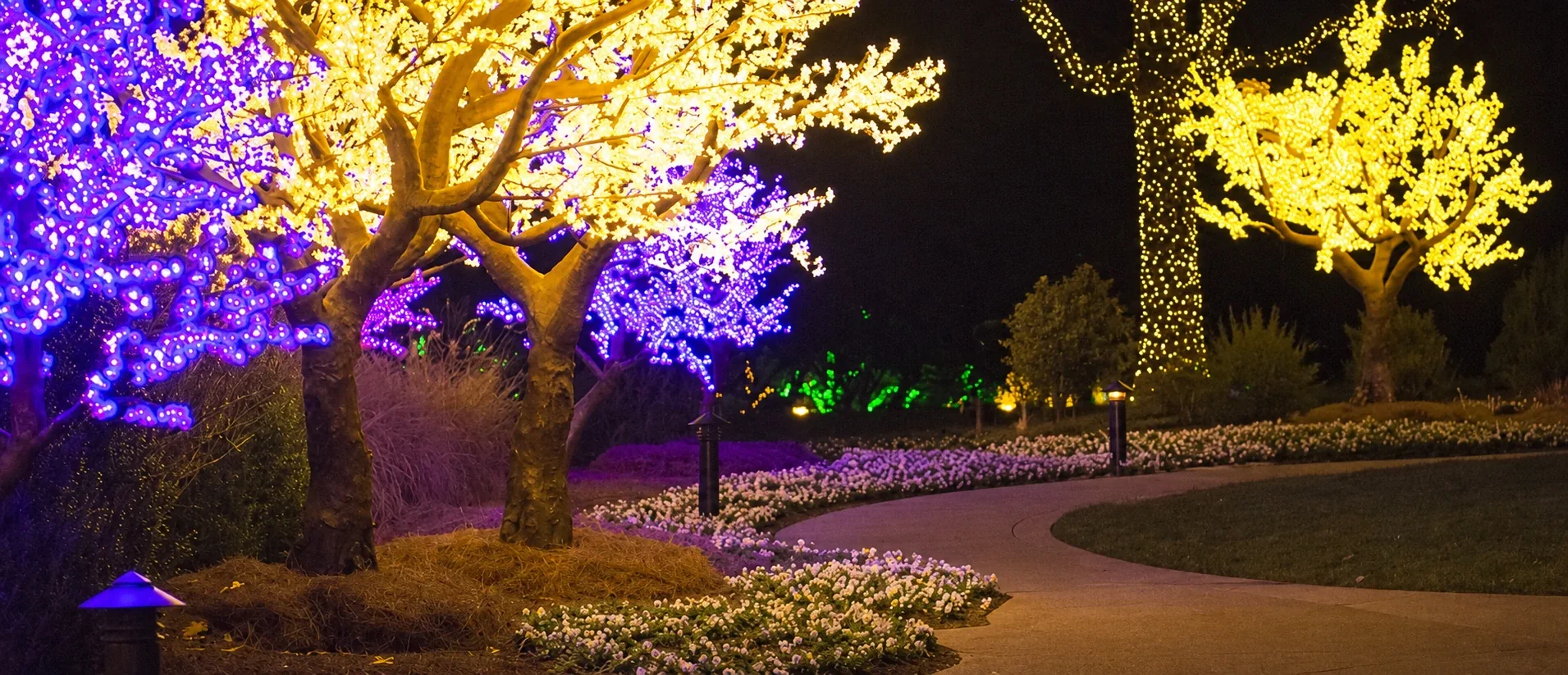 Cheekwood holiday lights and garden walkway, digitally edited to remove visitors