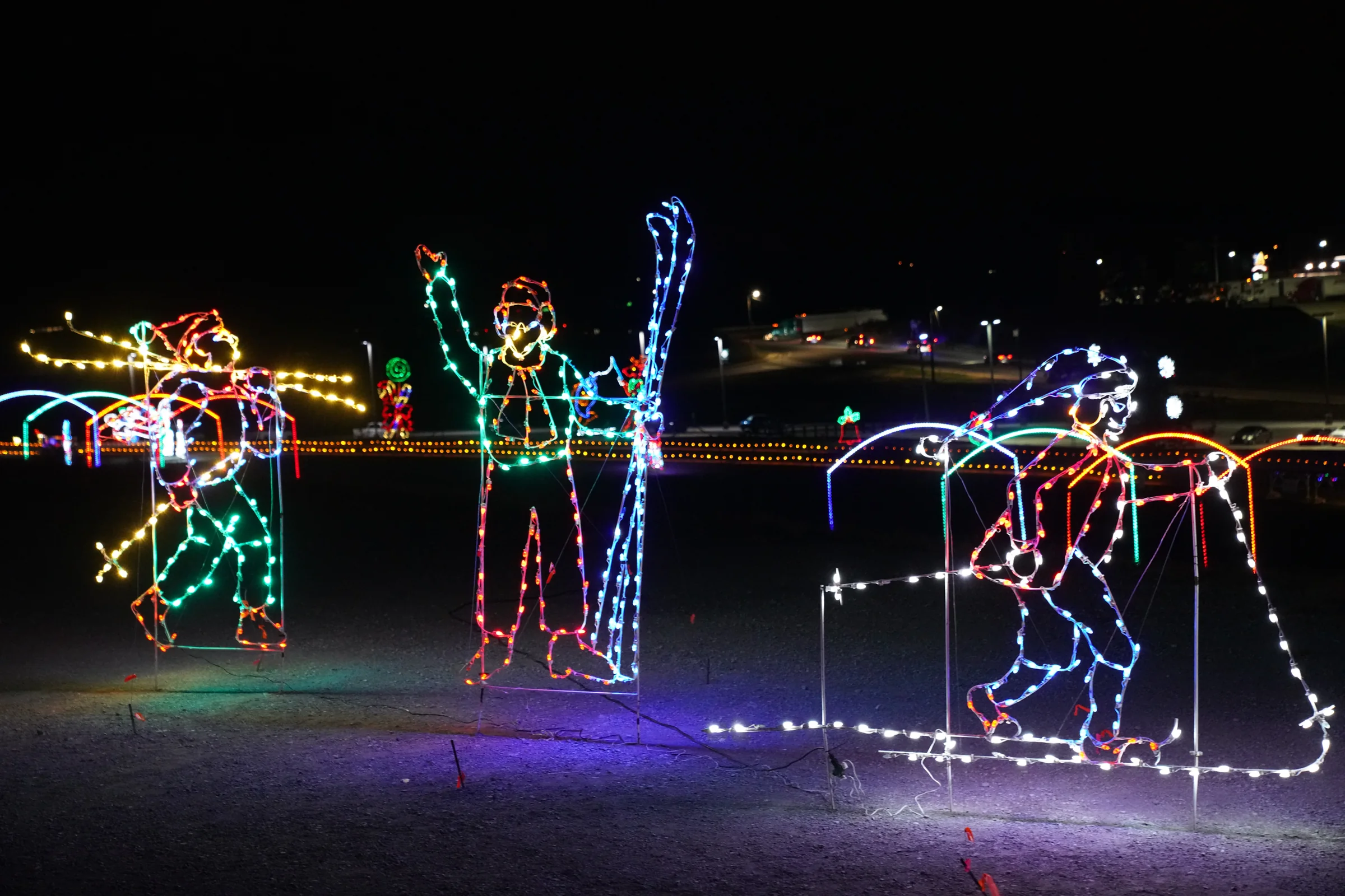 Holiday light display