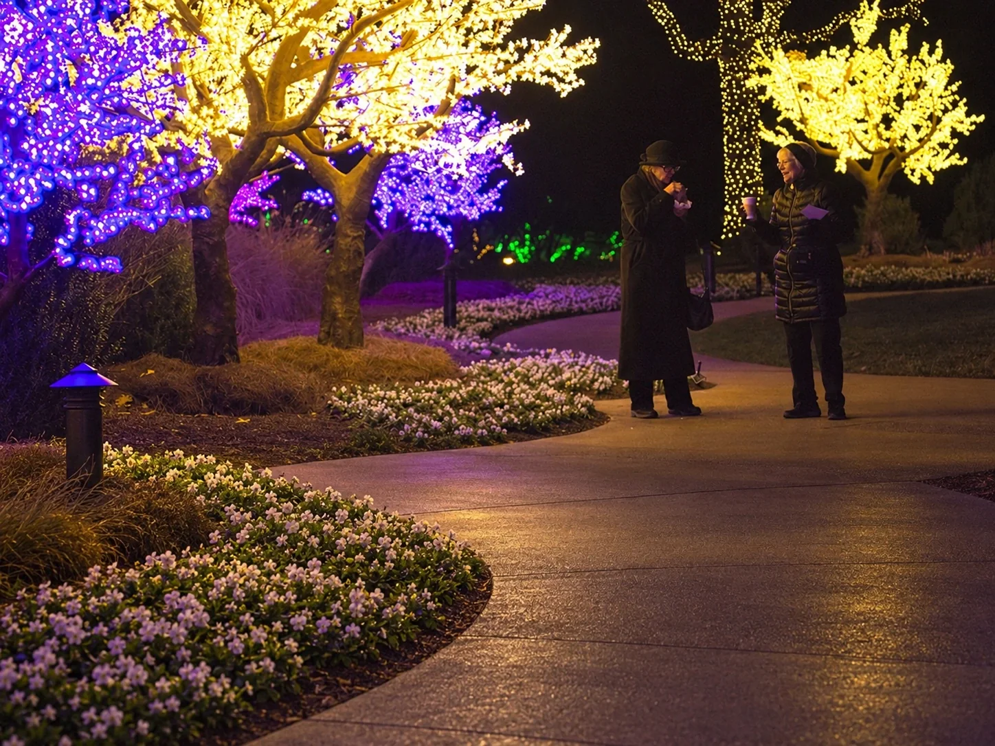 Two older visitors enjoying Cheekwood holiday lights, with the garden foreground digitally extended