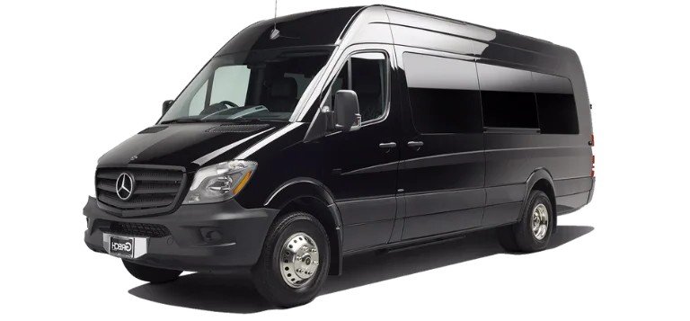 16-Passenger Mercedes Party Limo