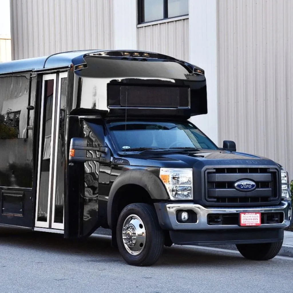 20 passenger party bus