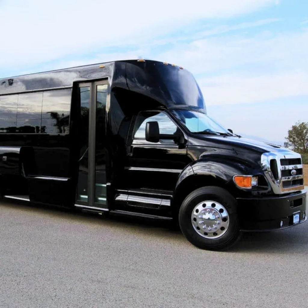 31 passenger executive bus