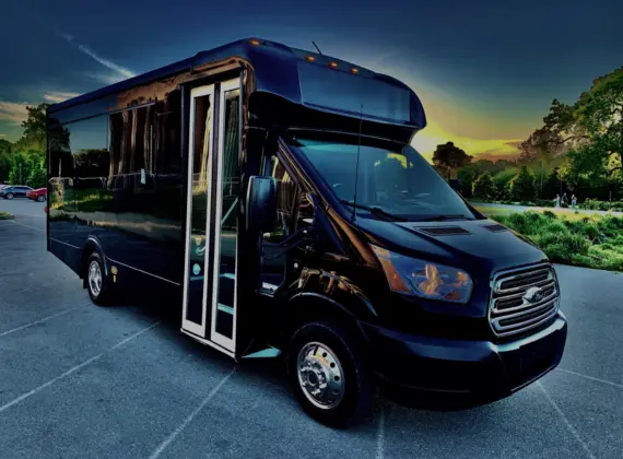 LIMOUSINE COACH